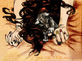 23.Cat