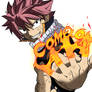 Fairy Tail 235 : Natsu Dragne