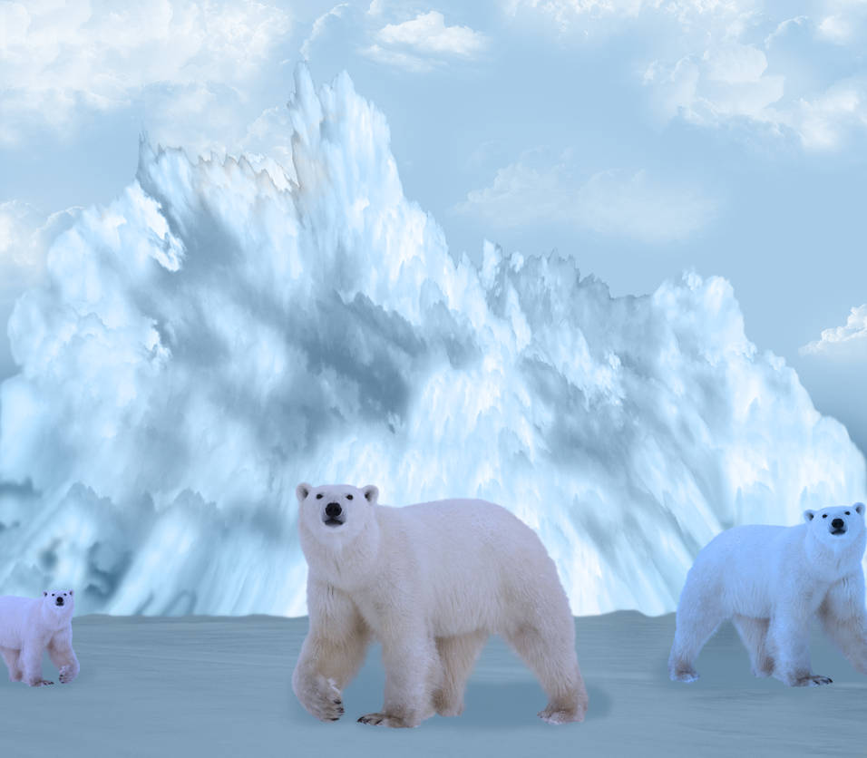 Ice Berg and the Polar Bear
