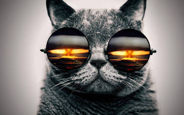 cat glasses Nuke