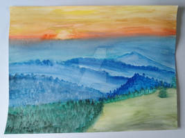 The black forest