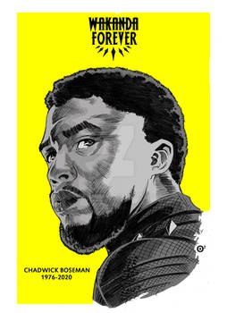 CHADWICK BOSEMAN TRIBUTE