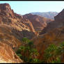 Desert of Tunisia