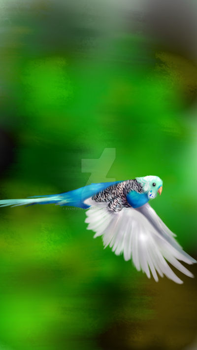 Parrot Flying Fast Parrot Flying fast by EvanescentPhantomCat on DeviantArt