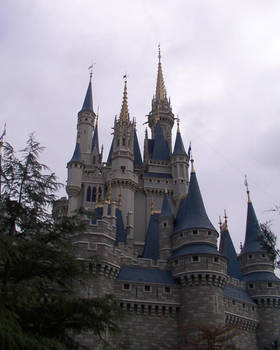 Closer Look at Disney Castle Florida