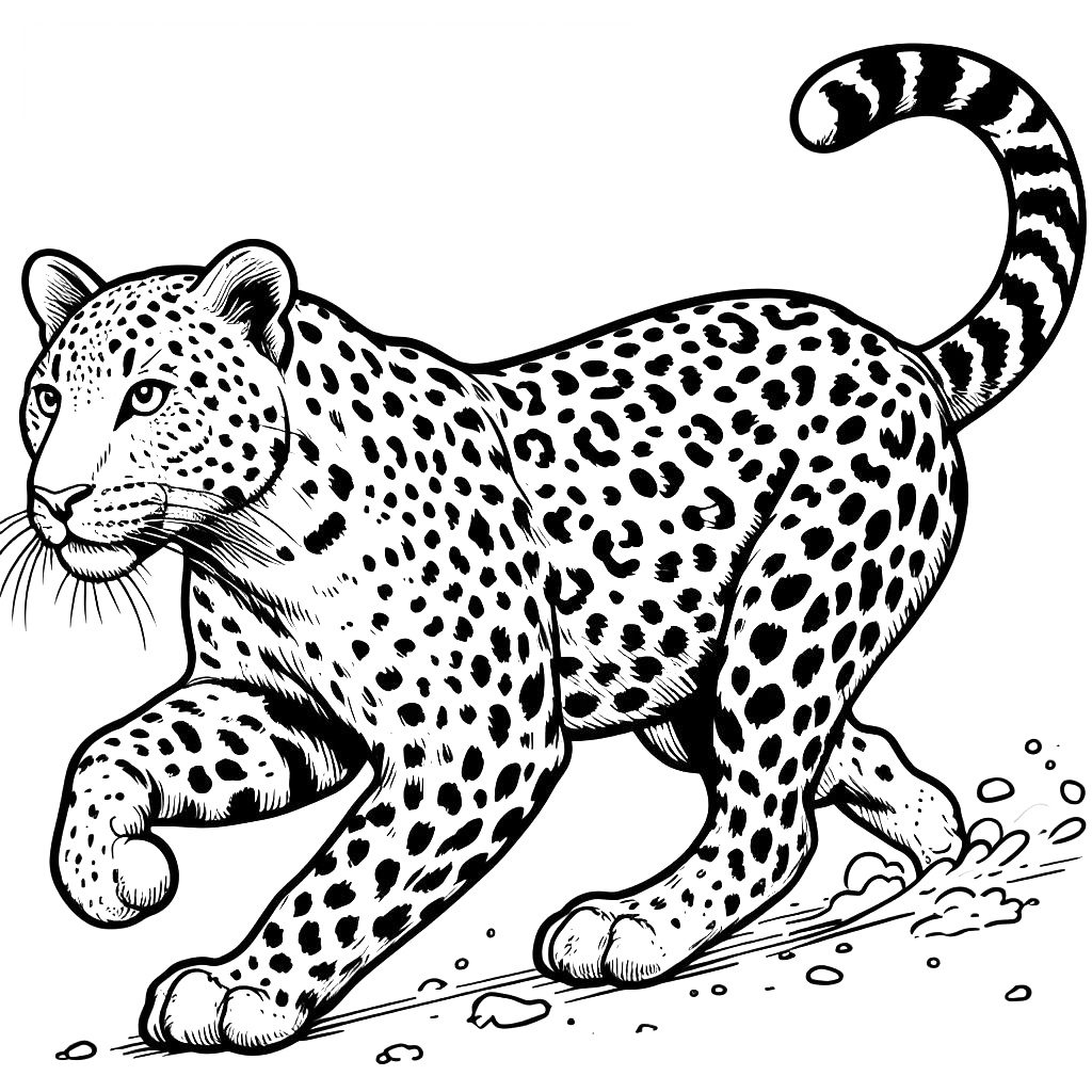 Panterpoot Kleurplaat