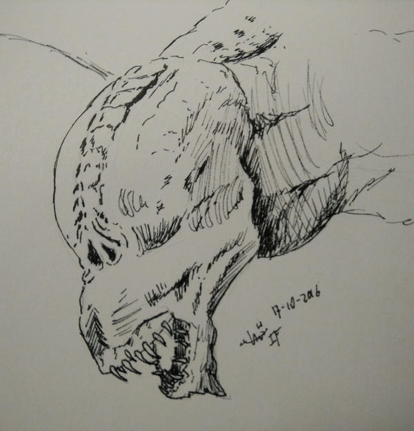 Inktober #15