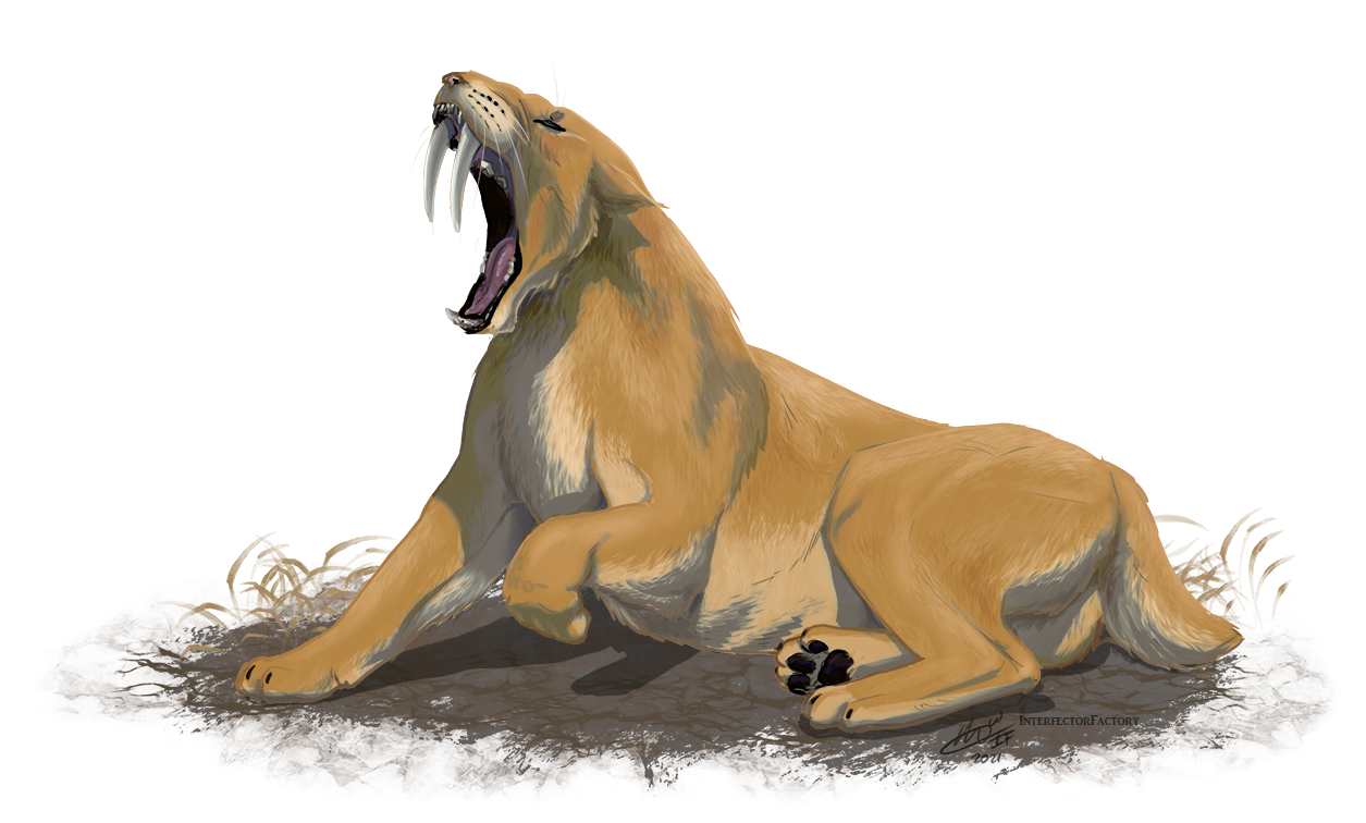 Smilodon by InterfectorFactory on DeviantArt