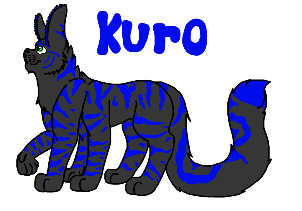 Kuro the aura tiger