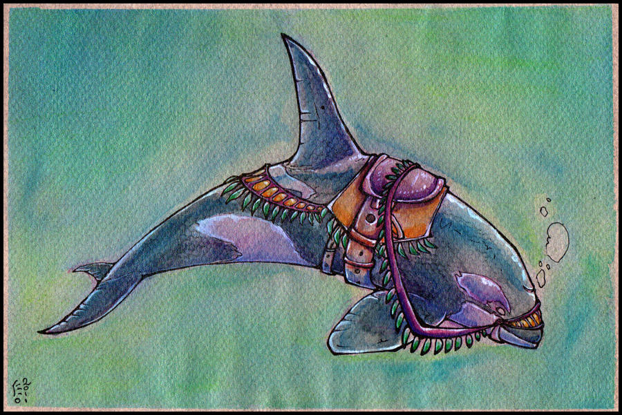 Carousel Orca by Biorave on DeviantArt
