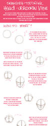 head_proportions_tutorial5. by Lady2