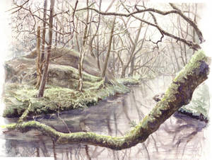 Watercolour forest