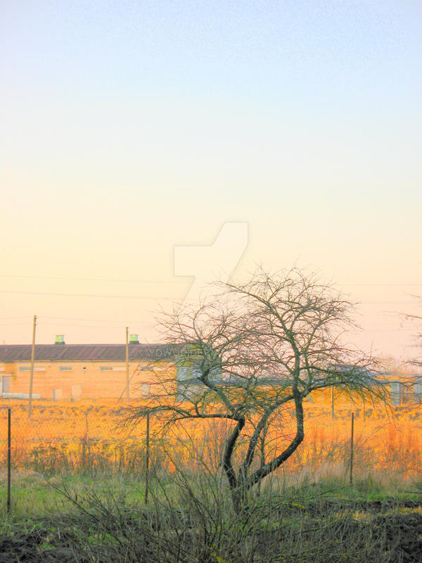 Freaky Tree by ydwoR on DeviantArt