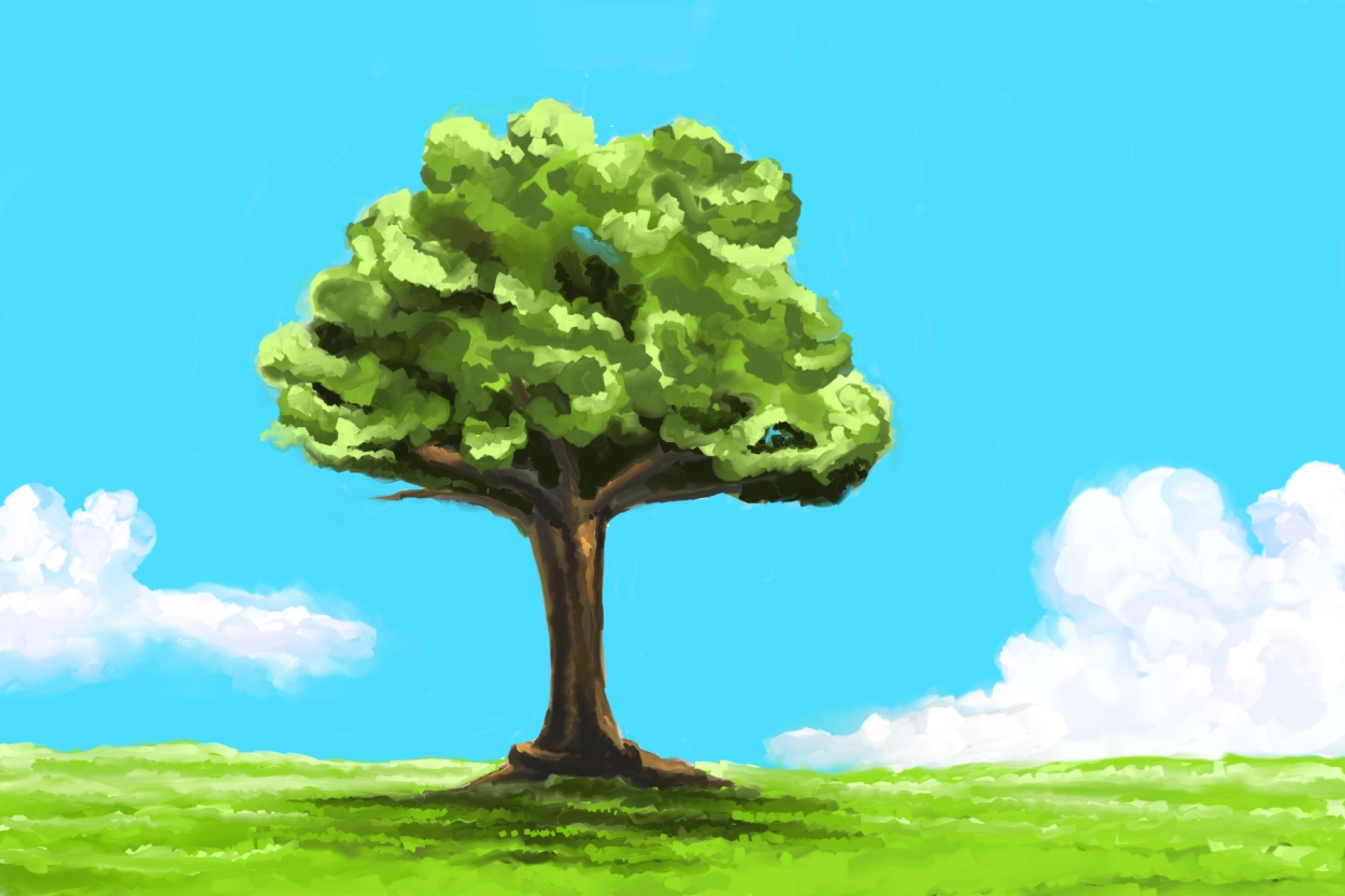 Landscape Practicing