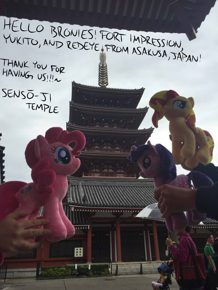 Ponies From Around the World