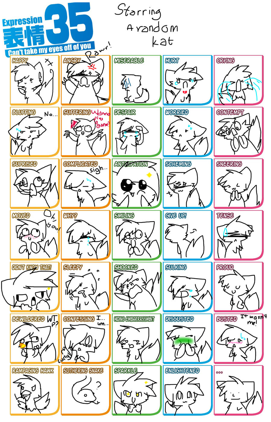 35 Expressions meme!