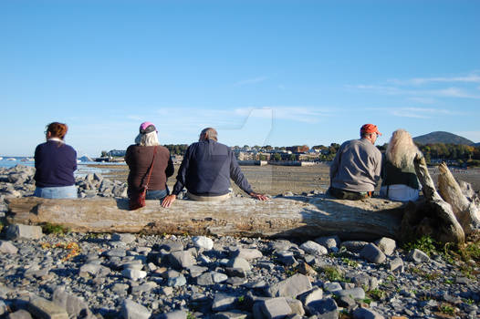 Low Tide Conversations