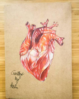 Heart