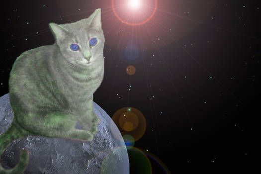 Cat in Spaaaaaaaaaace