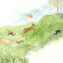 Animals Run