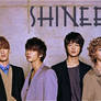 SHINee Wallpaper