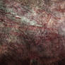 Free Texture 48