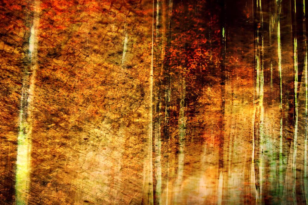 Free Texture Background 51 by albrecht995 on DeviantArt