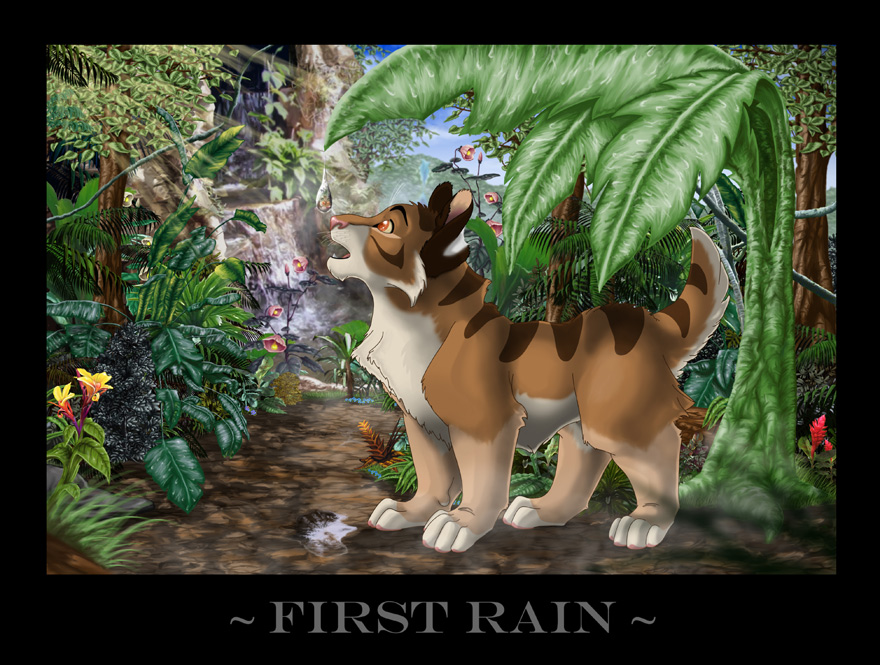 First Rain by meeko-okeem