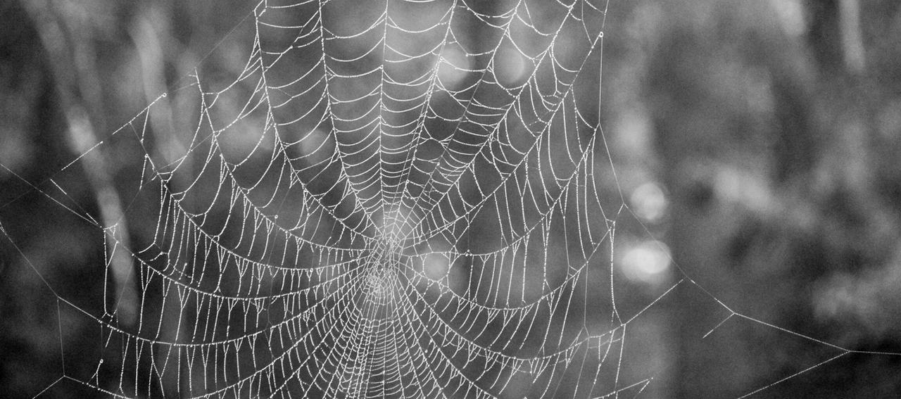 Stringy Web Web of String by Harmonic-Minor13 on DeviantArt