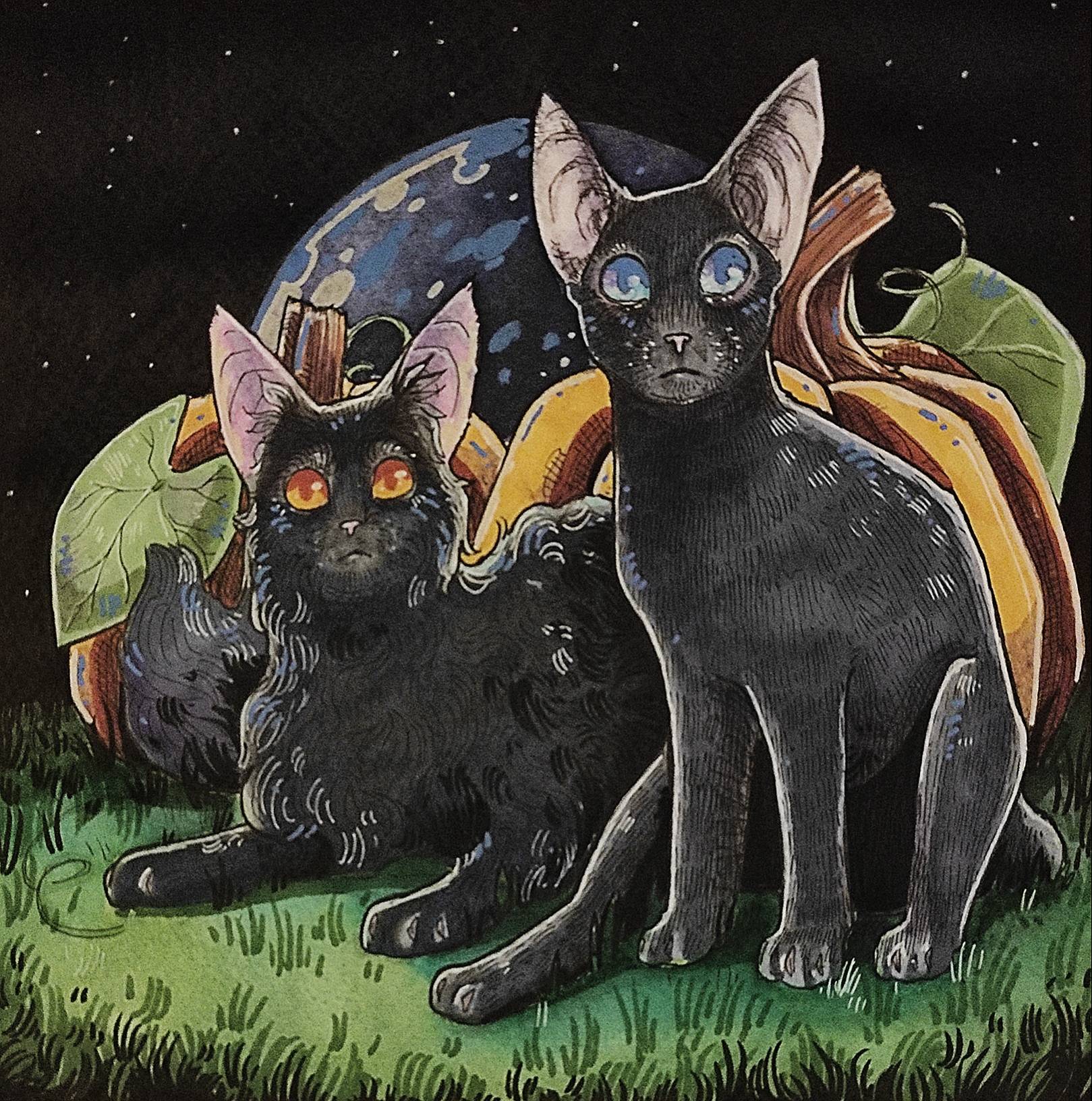 03. Crowfeather and Nightcloud by YumasArtStation on DeviantArt