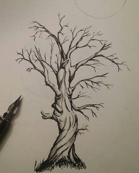 Twisted Tree Ink Drawing 