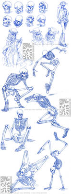 Skeletal Sketchdump