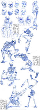 Skeletal Sketchdump