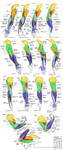 Anatomy - Human Arm Muscles by quartervirus-archive