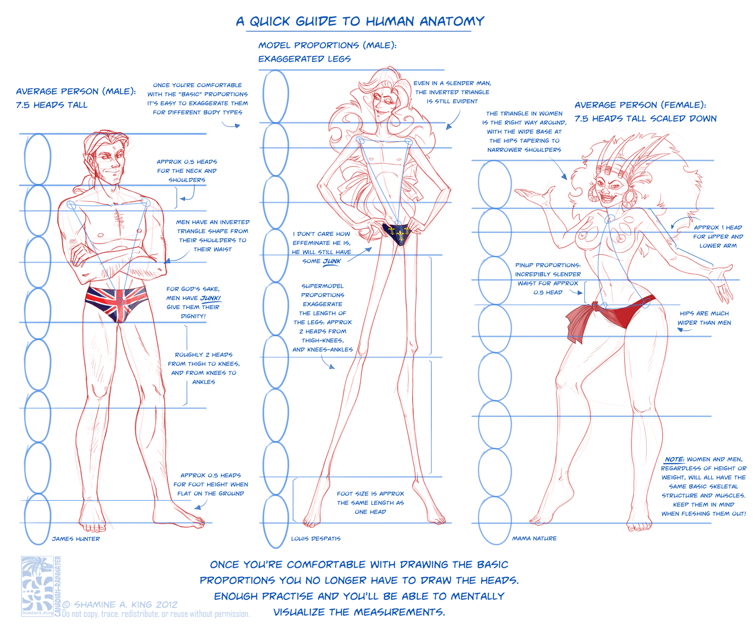 Human Figure Coursework Guide