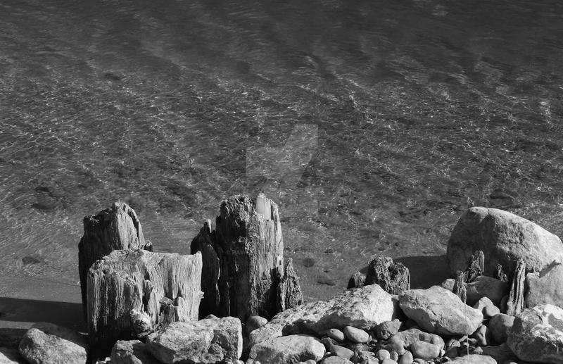 Stone Cold by Pawfection95 on DeviantArt