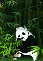 SavethePandas