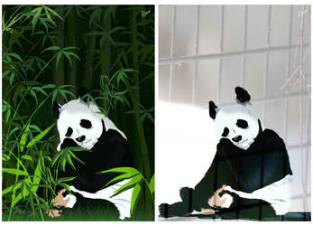 SavethePandas2