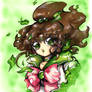 Sailor Jupiter