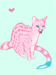 the new Pink Genet