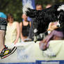 Dog Chow Disc Cup 2012 Chorzow 2