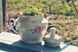 A Teapot of Spring