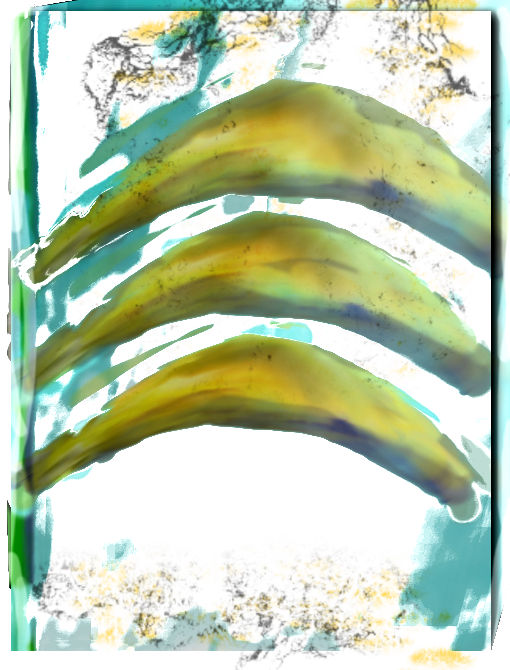 Banana Book Cover2 by SVincentS on DeviantArt