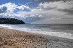 Passing Time at Whale Beach by Insanity540