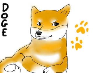 Doge Portrait By DogeOffical