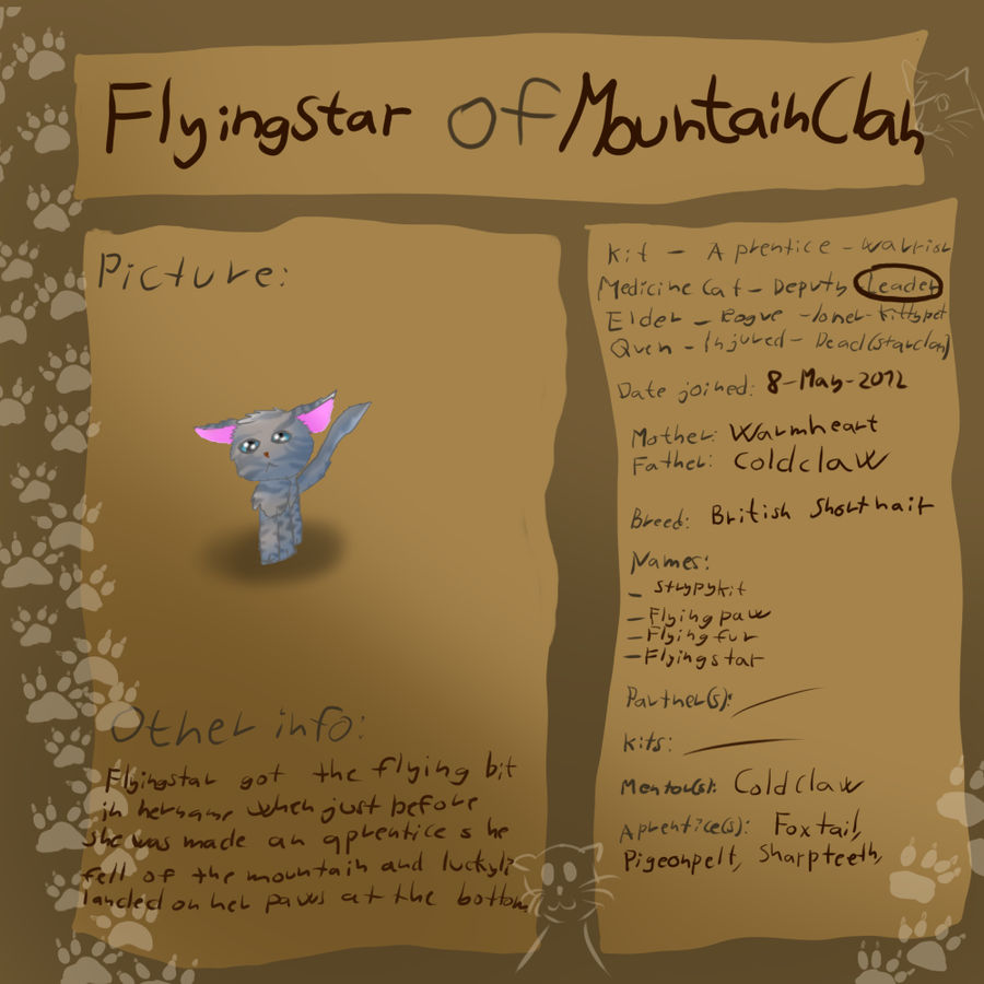 Leader of Mountain Clan - Flyingstar