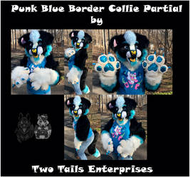 Punk Blue Border Collie Partial (for sale)