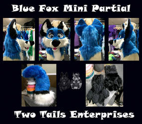 Fox Mini Partial