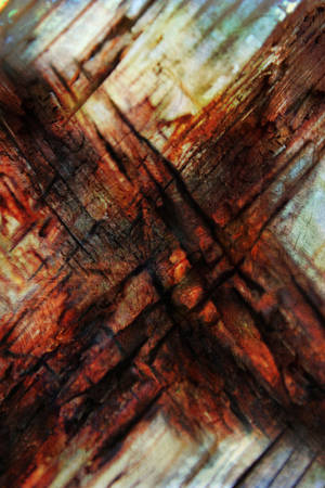 Free Texture 21 by SprenklePhotography Free Texture 21 by SprenklePhotography