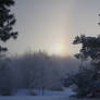 Snowbow.